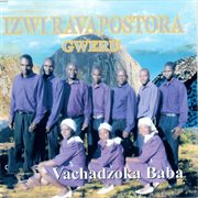 Vachadzoka baba cover image