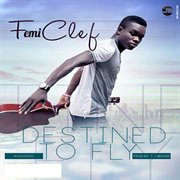 Destined to fly cover image