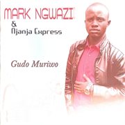 Gudo muriwo (feat. njanja express) cover image