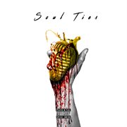 Soul ties cover image