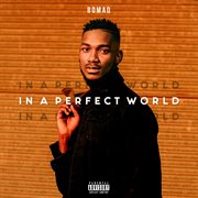 In a perfect world cover image