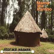 Mama wa kambo cover image