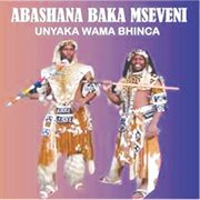 Unyaka wa bhinca cover image