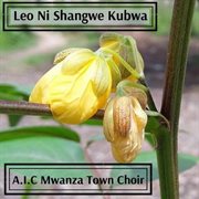 Leo ni shangwe kubwa cover image