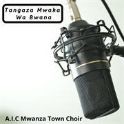 Tangaza mwaka wa bwana cover image
