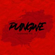 Pungwe sessions vol. ii cover image