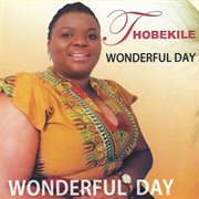 Wonderful day cover image
