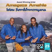 Isisu somkhweyana cover image