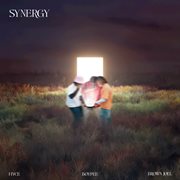 Synergy cover image