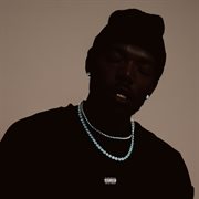 The Secret Frequency cover image