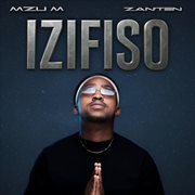 Izifiso cover image