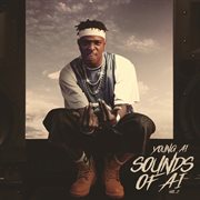 Sounds Of Ai (Vol. 2) cover image
