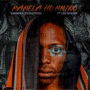 Mamela Ho Mmino (Feat. Lee Naledi) cover image