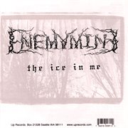 The ice in me cover image