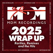 Mdm Recordings 2025 Wrap Up - Rarities, Remixes And The Hits cover image