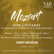 Mozart: don giovanni "il dissoluto punito ossia il don giovanni" cover image