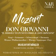 Mozart: don giovanni "il dissoluto punito ossia il don giovanni" : DON GIOVANNI "IL DISSOLUTO PUNITO OSSIA IL DON GIOVANNI" cover image