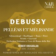 Debussy: pelléas et mélisande : PELLÉAS ET MÉLISANDE cover image