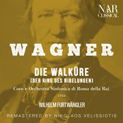 WAGNER: DIE WALKÜRE (DER RING DES NIBELUNGEN) : DIE WALKÜRE (DER RING DES NIBELUNGEN) cover image