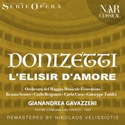 Donizetti: l'elisir d'amore : L'ELISIR D'AMORE cover image
