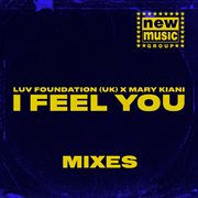 I Feel You (Mixes) cover image