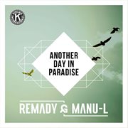 Another Day In Paradise cover image