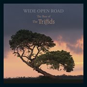 Wide open road cover image