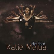 The flood (remixes) cover image