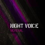 Night Voice cover image