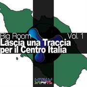 Big Room, Vol. 1 (Lascia Una Traccia Per Il Centro Italia) cover image