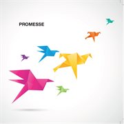 Promesse cover image