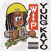 Work in progress cover image