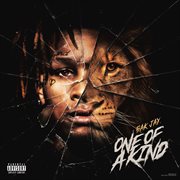 One Of A Kind cover image