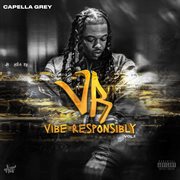 Vibe Responsibly, Vol. 1 cover image