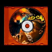 Foxes Only (Sped Up & Slowed) cover image