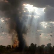 Cozy World cover image