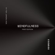 Seek Therapy Vol. 1-4 : Mindfulness First Edition cover image