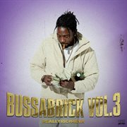 BussaBrick Vol.3 : ReallyRich4eva (Deluxe) cover image