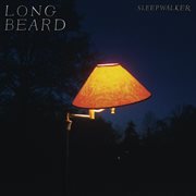 Sleepwalker cover image