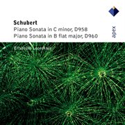 Schubert: piano sonatas nos 19 & 21 cover image
