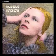 Hunky dory cover image