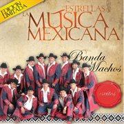 Las estrellas de la musica mexicana cover image