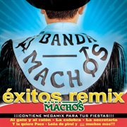 Exitos remix cover image
