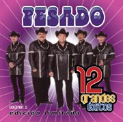 12 grandes exitos  vol. 2 cover image