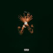 FALLEN RAVEN cover image