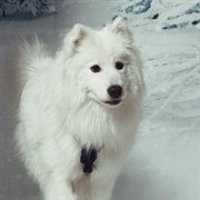 Forever 21 (Vol.2) cover image