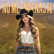 No Me Enseñaste No Me Enseñaste