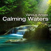 Calming waters cover image