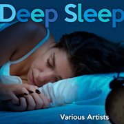 Deep sleep playlist cover image