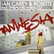Amnesia (feat. timbaland & brasco) [remixes] cover image